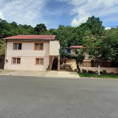 Casa Iza Apartment Baile Herculane Luaran gambar