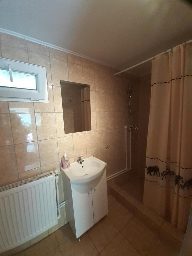 Casa Iza Apartment Baile Herculane Luaran gambar