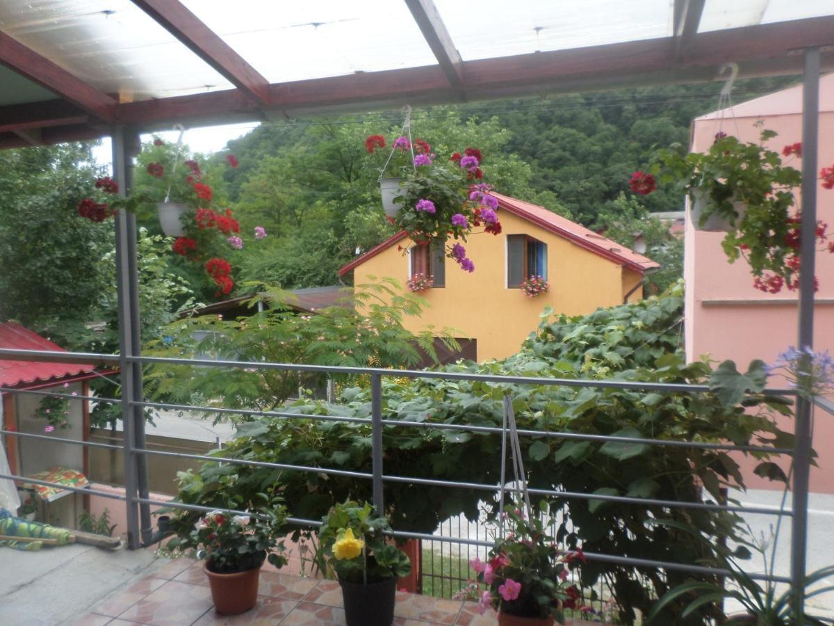 Casa Iza Apartment Baile Herculane Luaran gambar