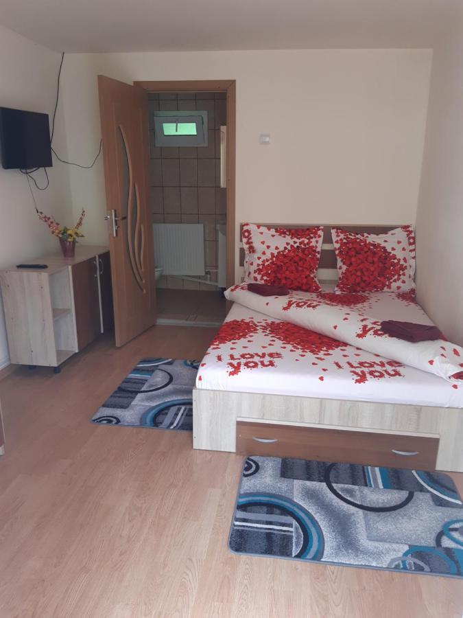 Casa Iza Apartment Baile Herculane Luaran gambar