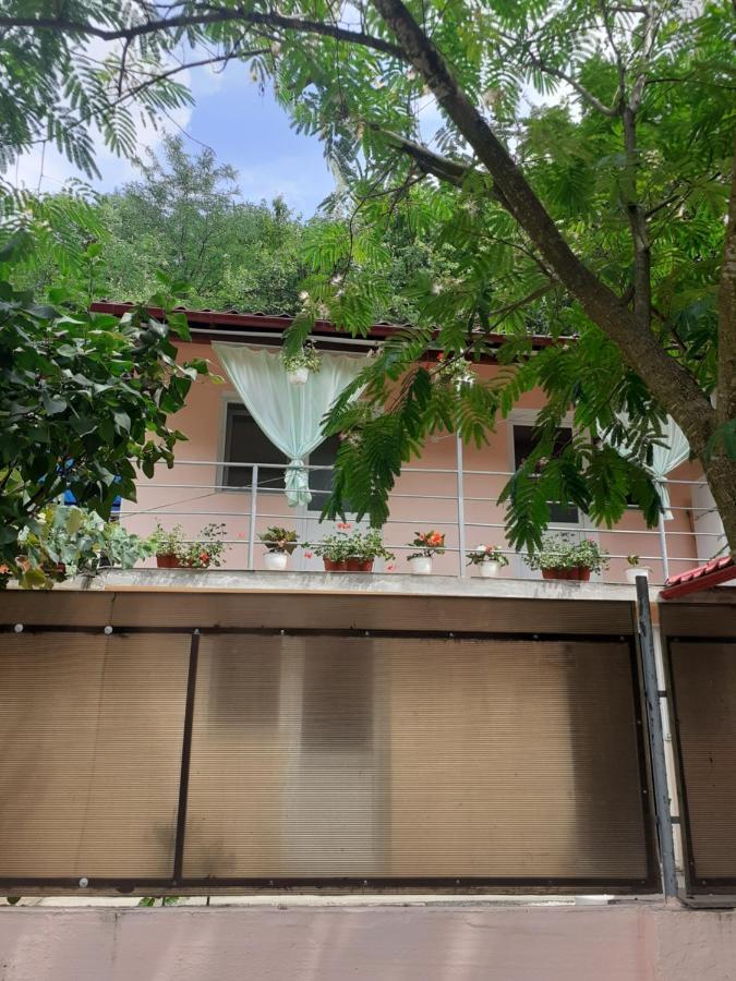 Casa Iza Apartment Baile Herculane Luaran gambar