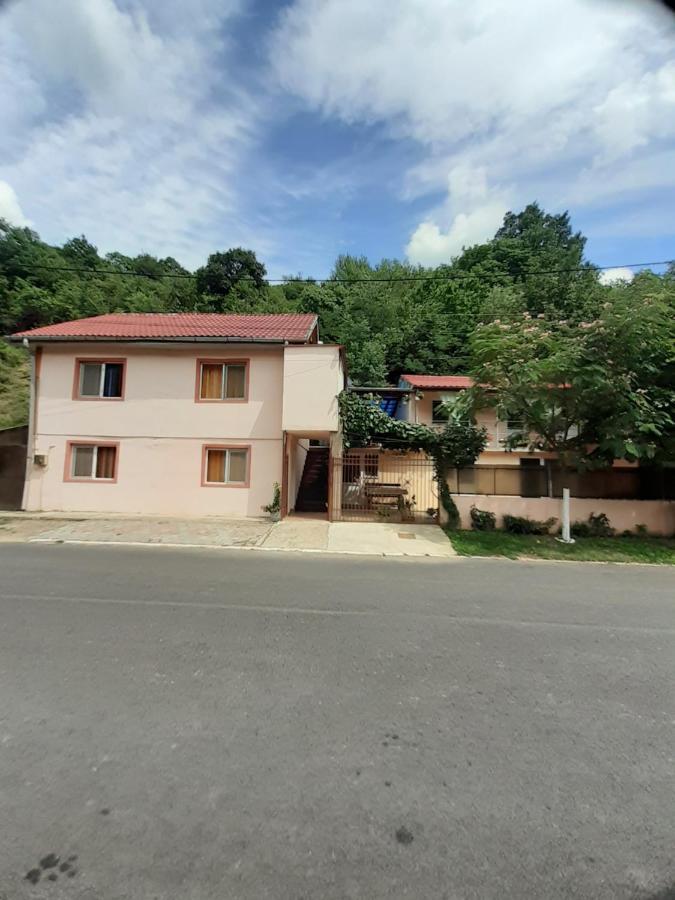 Casa Iza Apartment Baile Herculane Luaran gambar