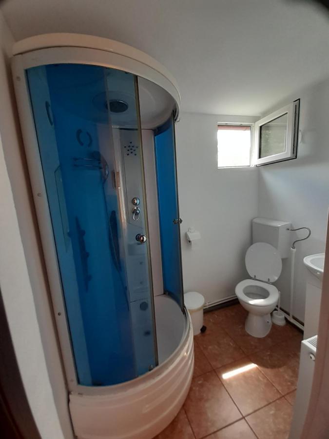 Casa Iza Apartment Baile Herculane Luaran gambar