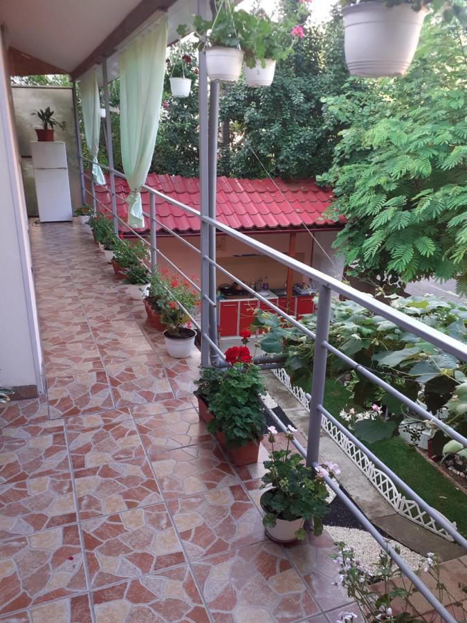 Casa Iza Apartment Baile Herculane Luaran gambar